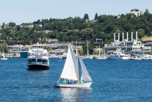 Seattle: crociera sulle chiuse con guida locale