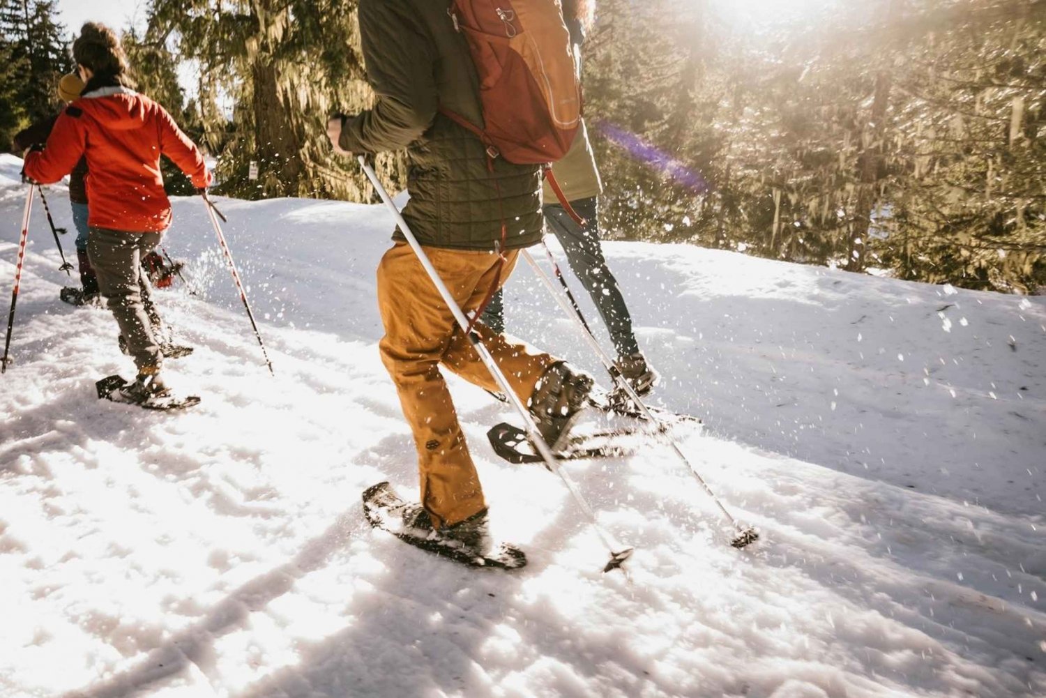 Seattle: Longmire in Mount Rainier Winter Day Tour