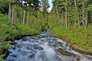 Seattle: Mount Rainier Park All-Inclusive Small Group Tour