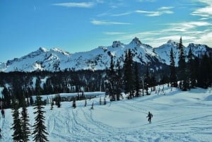 Seattle: Mount Rainier Park All-Inclusive Small Group Tour