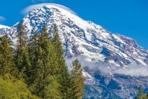 Seattle: Mount Rainier Park All-Inclusive Small Group Tour