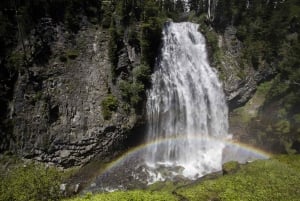 Seattle: Mount Rainier Park All-Inclusive Small Group Tour