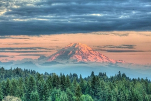 Seattle: Mount Rainier Park All-Inclusive Small Group Tour