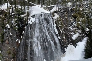 Seattle: Mt. Rainier Hiking w/ Waterfalls, Glaciers & Trees