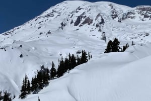 Seattle: Mt. Rainier Hiking w/ Waterfalls, Glaciers & Trees