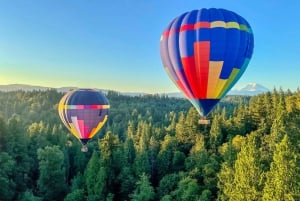 Seattle: Mt. Rainier Sunrise Hot Air Balloon Ride