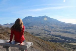 Seattle: Mt. St. Helens National Monument Small Group Tour