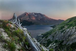 Seattle: Mt. St. Helens National Monument Small Group Tour