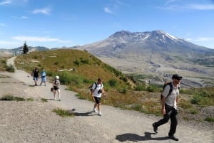 Seattle: Mt. St. Helens National Monument Small Group Tour