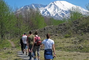 Seattle: Mt. St. Helens National Monument Small Group Tour