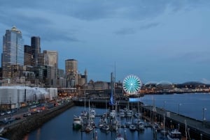 Seattle: Night Tour with Local Guide