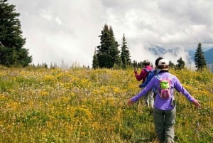 Seattle: Olympic National Park Small-Group Tour