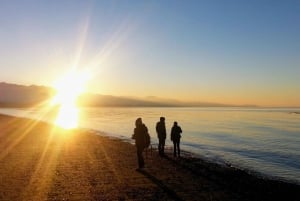 Seattle: Olympic National Park Small-Group Tour