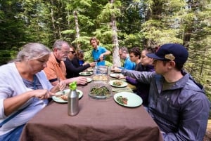 Seattle: Olympic National Park Small-Group Tour