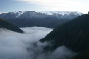 Seattle: Olympic National Park Small-Group Tour