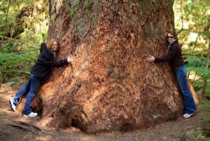 Seattle: Olympic National Park Small-Group Tour