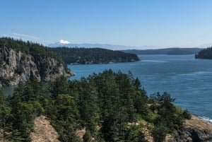 Seattle: Private Whidbey Island & Deception Pass Tour