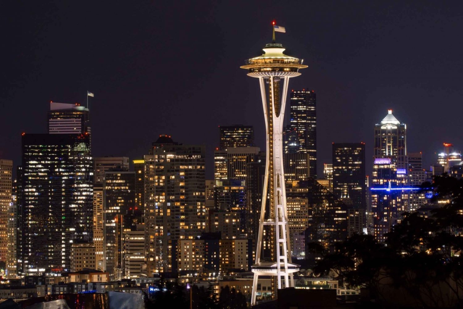 Seattle: Scenic Night Tour with Space Needle & Skywheel