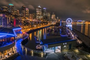 Seattle: Scenic Night Tour with Space Needle & Skywheel