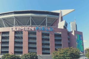 Seattle: Billet til Seattle Seahawks' fodboldkamp
