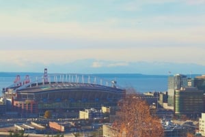 Seattle: Billet til Seattle Seahawks' fodboldkamp