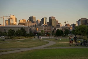 Seattle: Passeio de ônibus turístico com as eclusas de Ballard