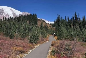 Seattle:Small Group Mount Rainier National Park 1-Day Tour