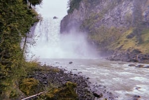 Seattle: Snoqualmie Falls and Twin Falls Guided Tour