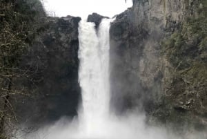 Seattle: Snoqualmie Falls and Twin Falls Guided Tour