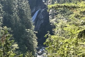 Seattle: Snoqualmie Falls and Twin Falls Guided Tour