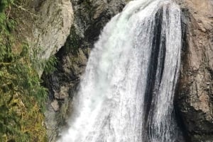 Seattle: Snoqualmie Falls and Twin Falls Guided Tour