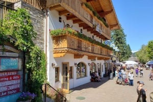 Porto: Lezione di surf con la prima scuola di surf di Porto!
