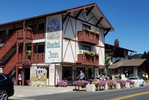 Porto: Lezione di surf con la prima scuola di surf di Porto!
