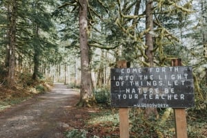 Seattle: Waterfall Wonderland Hike in Wallace Falls Park