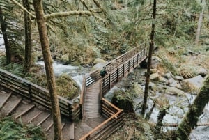 Seattle: Waterfall Wonderland Hike in Wallace Falls Park