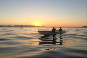 Seattle: Tour in kayak al tramonto a West Seattle
