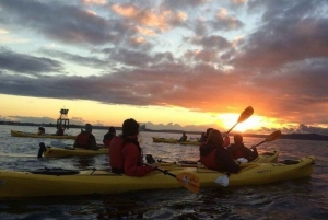 Seattle: Tour in kayak al tramonto a West Seattle