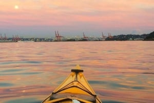 Seattle: Tour in kayak al tramonto a West Seattle