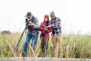 Seattle: Whidbey Island Deception Pass + Winter Birding Trip