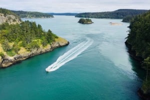 Seattle: Whidbey Island Deception Pass + Winter Birding Trip