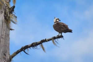 Seattle: Whidbey Island Deception Pass + Winter Birding Trip