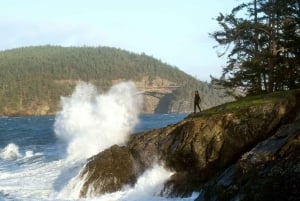 Seattle: Whidbey Island Deception Pass + Winter Birding Trip