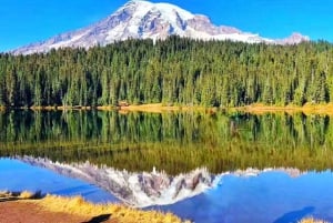 Seattle:Small Group Mount Rainier National Park 1-Day Tour