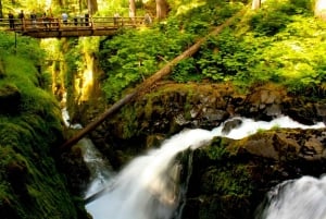 Seattle: Olympic National Park Day Tour with Ferry Ride