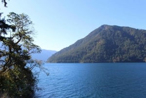 Seattle: Olympic National Park Day Tour with Ferry Ride