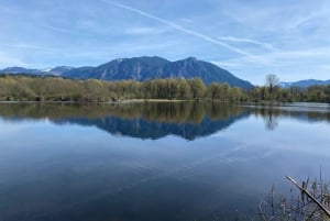 Snoqualmie Falls and Chocolate tour