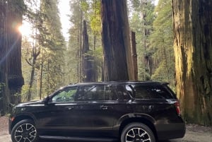 Centro de Vancouver (crucero) - Aeropuerto de Seattle Sprinter Van