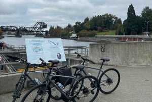 Seattle: 3 timers elcykeltur i det vestlige Seattle