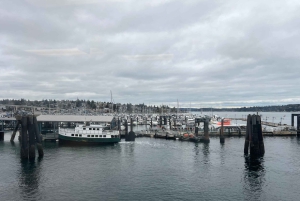 Seattle: 3 timers elcykeltur i det vestlige Seattle