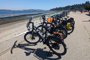 Seattle: 3 timers elcykeltur i det vestlige Seattle